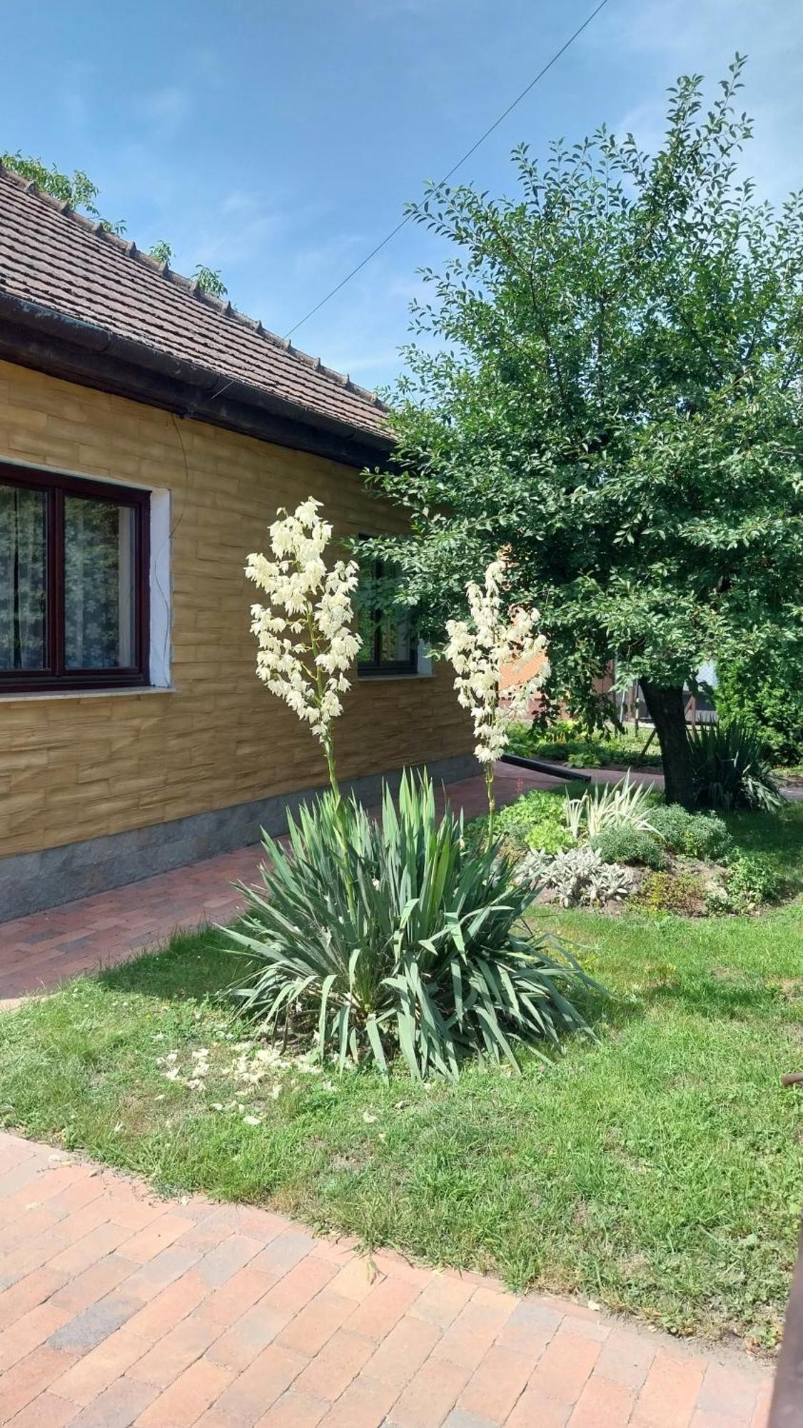 Haven Katherina Fonyodliget Екстер'єр фото